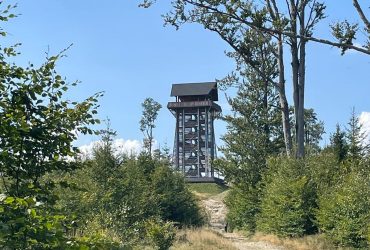 Wieża widokowa