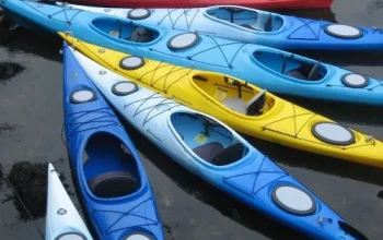 kayaks
