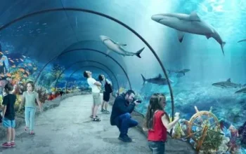 oceanarium-w-lodzi-1024x745